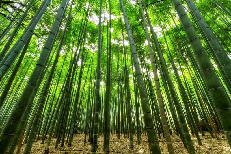 Green Building Materials